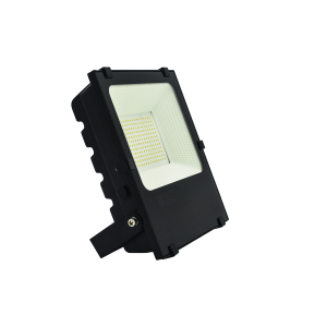 Proyector Led Master Pro II 100W